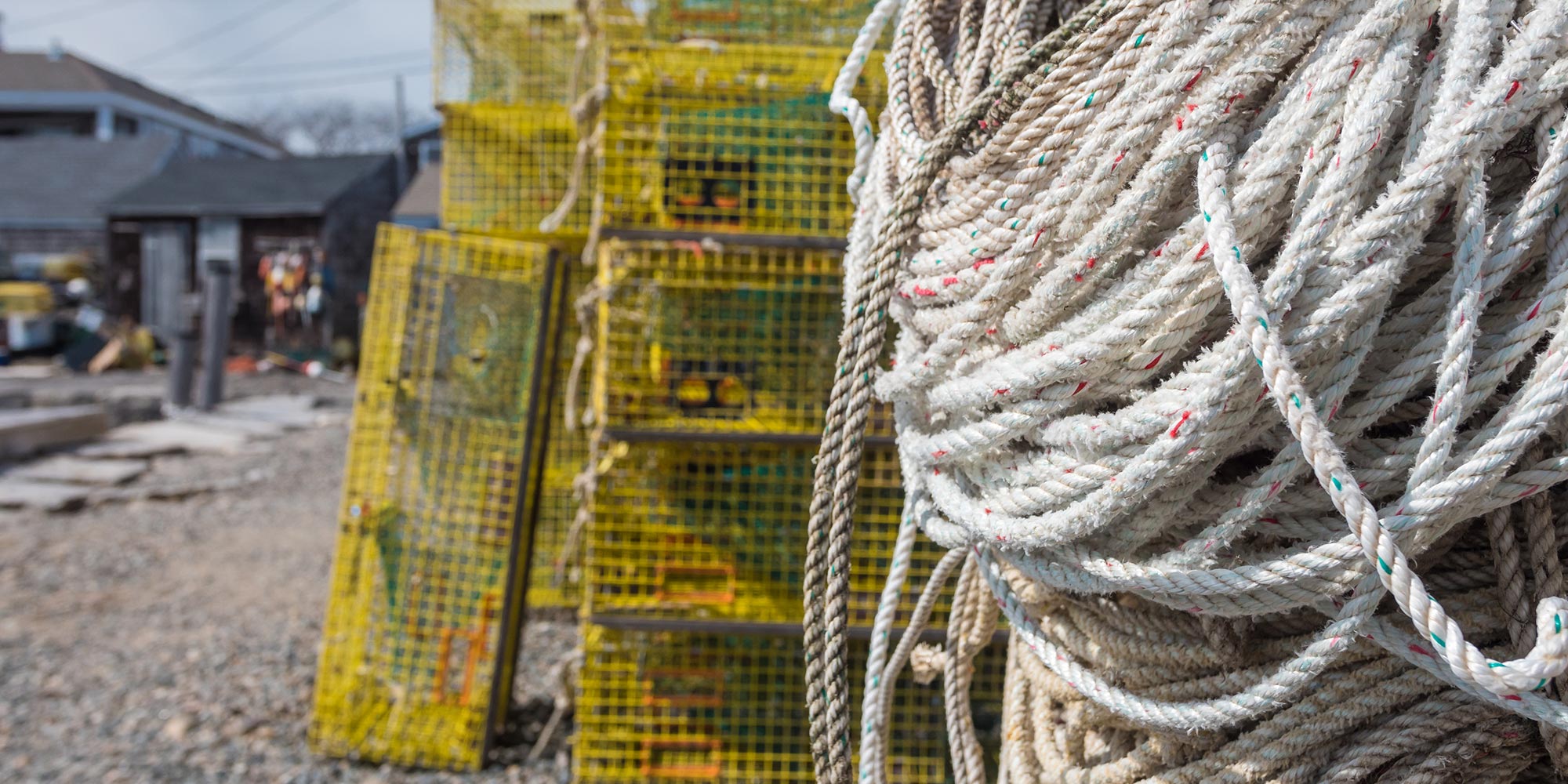 AC_Header_1122120620