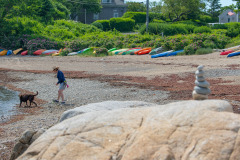 DSC6084
