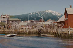 The-Proposal-Motif-1