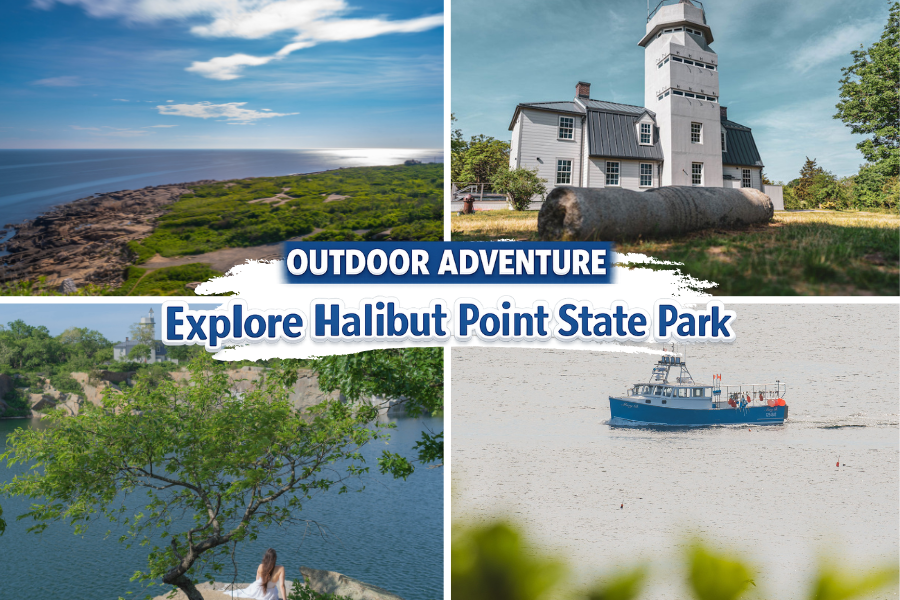 Explore Halibut Point Rockport MA