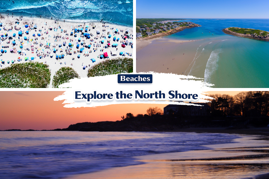 Explore the Beaches of the North Shore