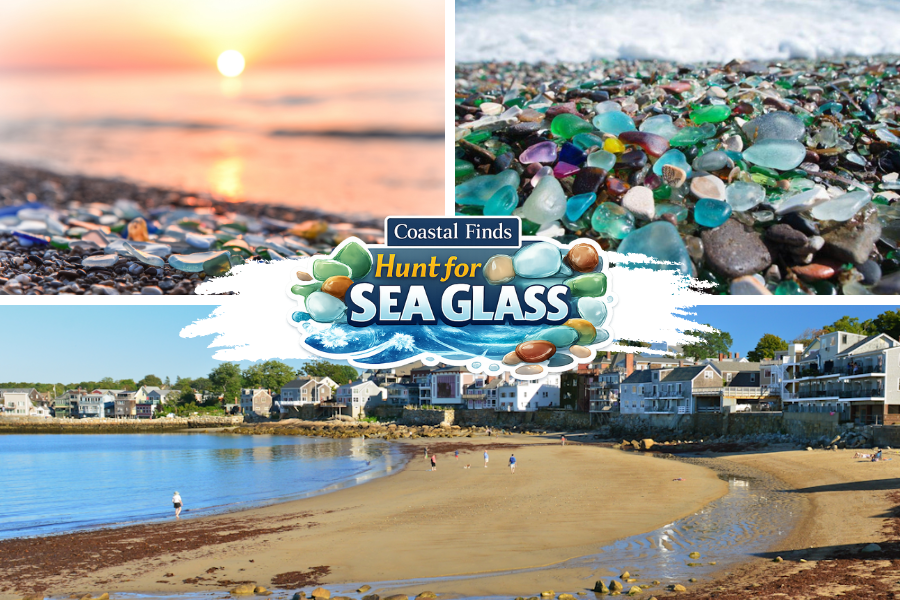 Hunt For Sea Glass Rockport MA