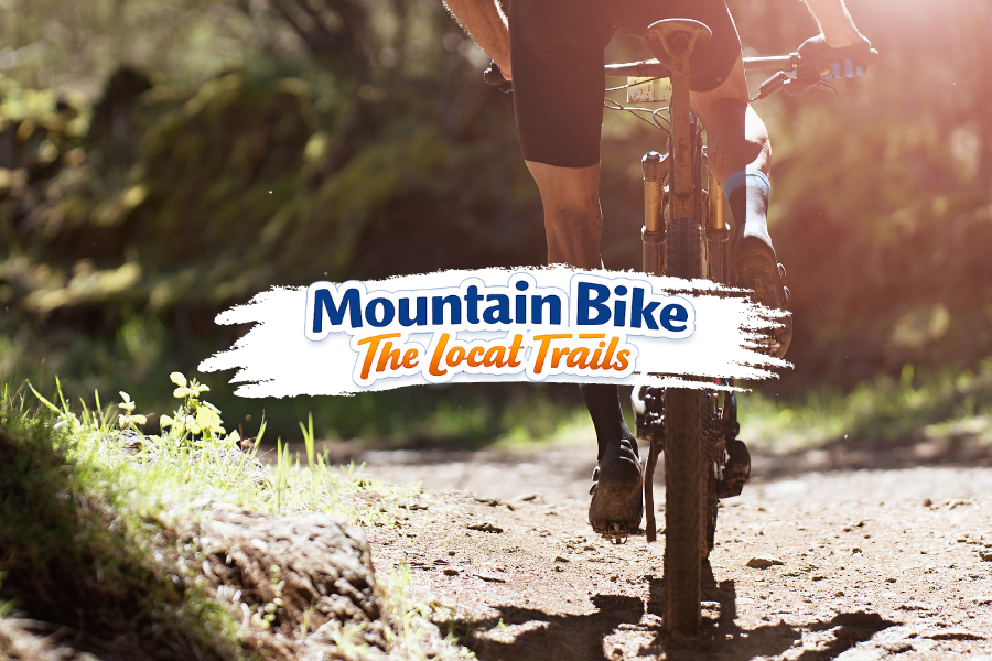 Mountain Bike The Rockport MA Trails