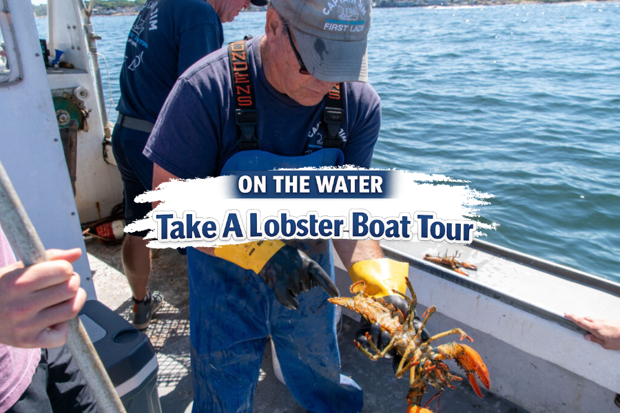 Take a Lobster Boat Tour Rockport MA