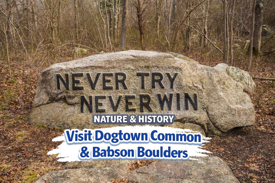 Visit Dogtown Common Gloucester Rockport