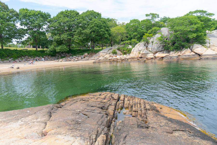 Mayor Swim Widows Bay Gloucester MA